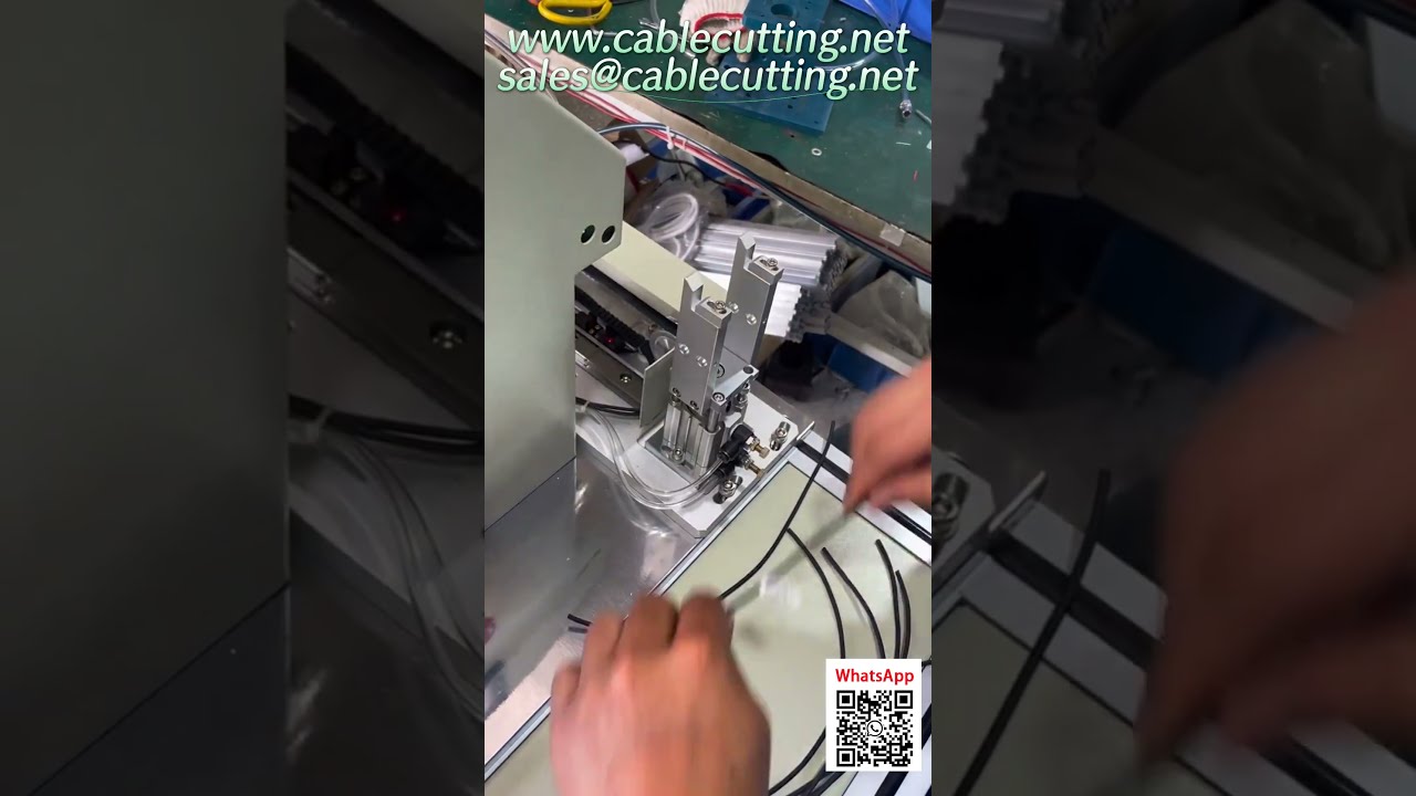 Servo-drevet etikettleggingsmaskin med folding | Verkstedsbilder