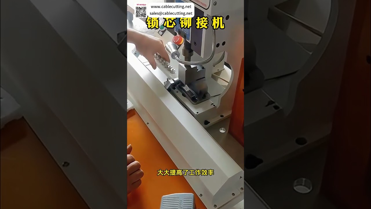 Expert Circlip Assembly Equipment Supplier High Quality Automated Industrial Machinery Factory