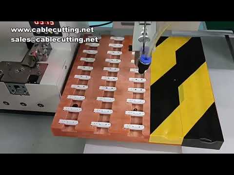 Automatisk panoramisk synsdispenser for flerfarget maling – perfekt til maskinvare, etiketter, smykker, mahjong og terninger