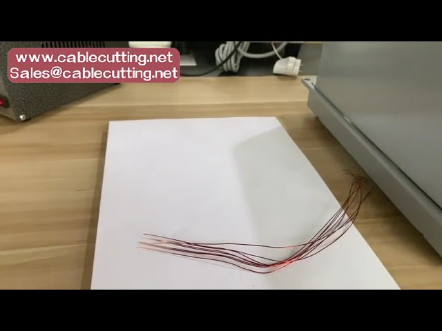 Effektiv magnet emaljert trådavisoleringsmaskin for motorer og transformatorer