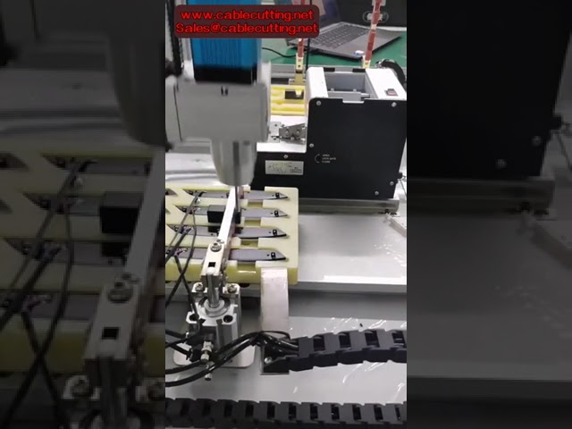 Dobbeltstasjon Servo Skruemaskin med Automatisk Matingssystem – Effektiv Presisjonsmontering